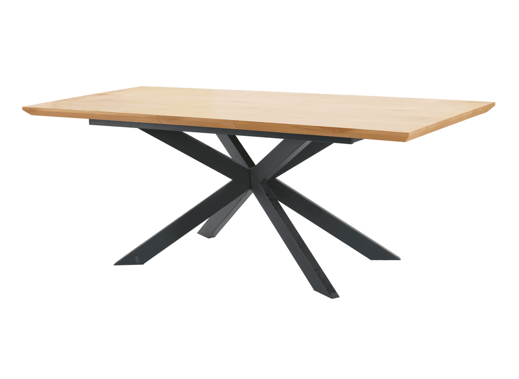 Table à manger extensible couleur bois 10 personnes 160-200 cm ODINE