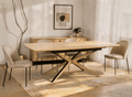 Table à manger extensible effet bois 10 personnes 160-220 cm OXANE